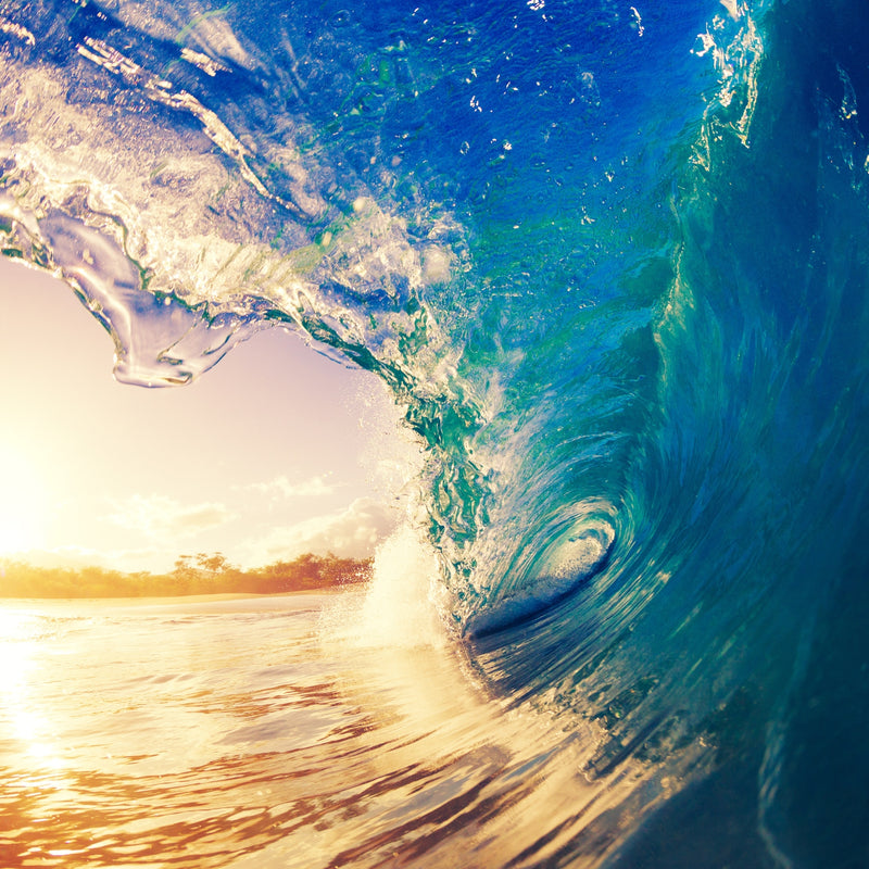 Signature Scent: bold aquatic fresh