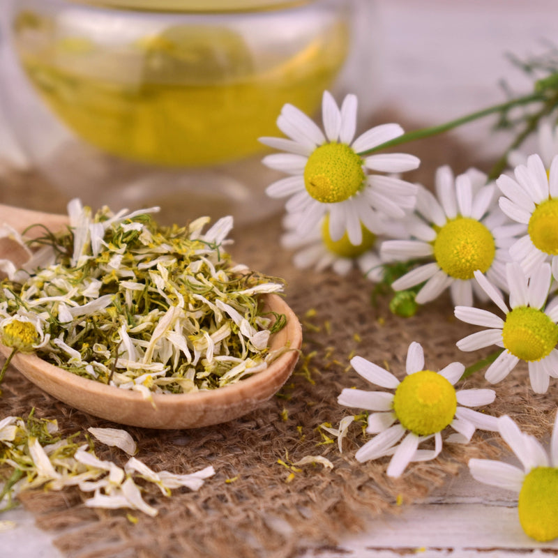 Chamomile oil