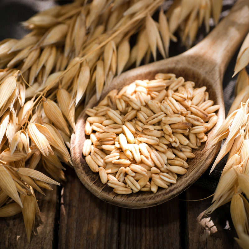 Oat protein